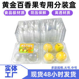 水果盒子带盖子4粒百香果塑料包装盒PET透明一次性吸塑托批发鲜果