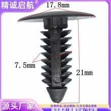 ��ɫ���ϵ��̰��   �������̿��� ë�������z�  ��ɫ�����T�