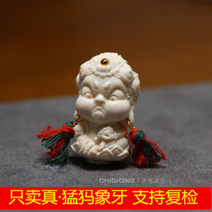 ��Ȼ�ͪw���� �Sؔ�������b С�t�� ��̼� ��� diy ���� ���