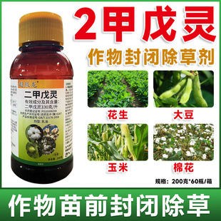 �������`��ǰ���]����ș���{�޻�һ�����s�ݚ����Ѷ������`���݄�