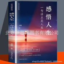 感悟人生一句话点亮人生新平装成功励志书青春正能量心灵鸡汤读物