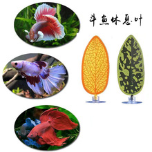 ���~�~����Ϣ�~�a���~�~���쾰��Ʒ���˯���^�p�b��~����ˮ��