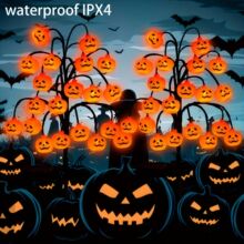 �羳�¿��f�}��̫����ϹϘ�֦��ƺ�����⹝���b���ˮ���@��