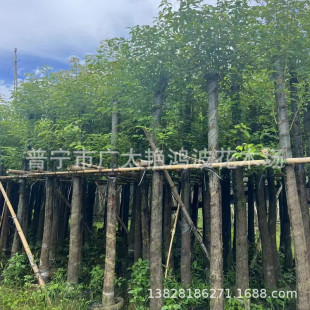 �Ռ�������������ѿ������С�����~����������~�������L����ľ