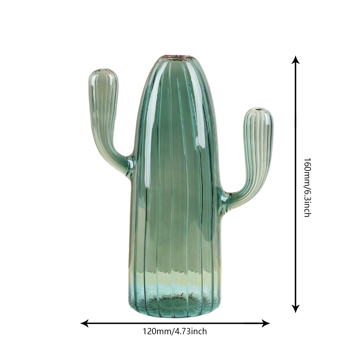 Vaso de vidrio de colores Cactus Vaso de vidrio para el hogar Flores hidropónicas Decoración simple Vaso de vidrio