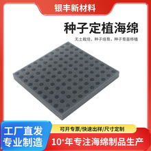 圆孔十字水培育苗海绵无土栽培蔬菜瓜果定植海绵块黑白色种植海绵