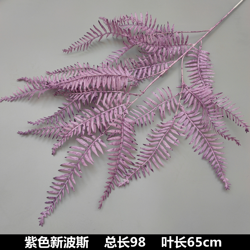 보라색 새로운 페르시아어