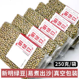 程山口农家自产绿豆粥原料 五谷杂粮 发芽绿豆东北笨明绿豆250克