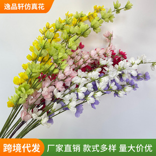 ��֦���_�m���滨 ��Y�Ñ���Ҿ��b�� �҃����P�[���ٻ����l