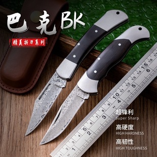 ���Qӆ�ΰͿˑ���Ұ�I�o�i�۵���Ӳ�ȱ�ݑ��⵶�๦���ۯB��