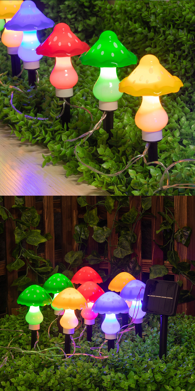 O1CN01G6wiHh1M4XlNp9x5E_!!2857