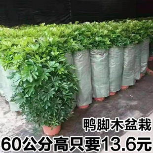 ���_ľ�������~ɏ�˷���ؔ�҃ȿ͏d����ȩ�����՚���;Gֲ��ؔ��
