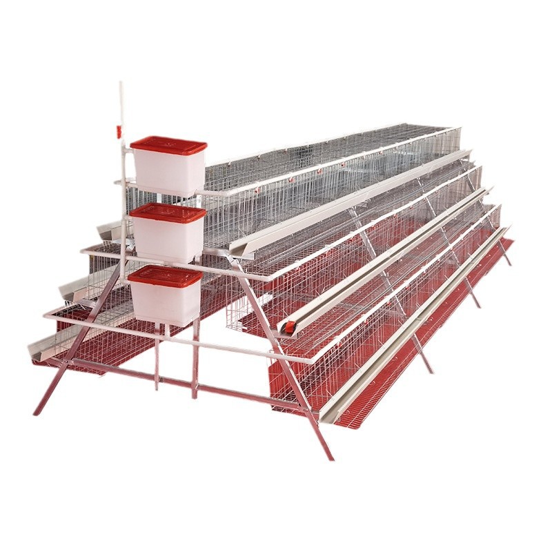 Jaula de huevas escalonada de gallinas ponedoras de tres capas de cuatro puertas tipo escalonado aparato de cría automática de gallinas
