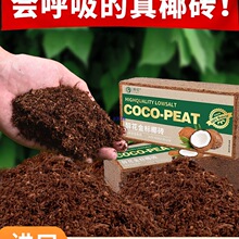 Ҭ�u�I�B��ͨ����Ҭ����Ҭ���N�˷N���B���Nֲ��KҮ�u��Ҭ��