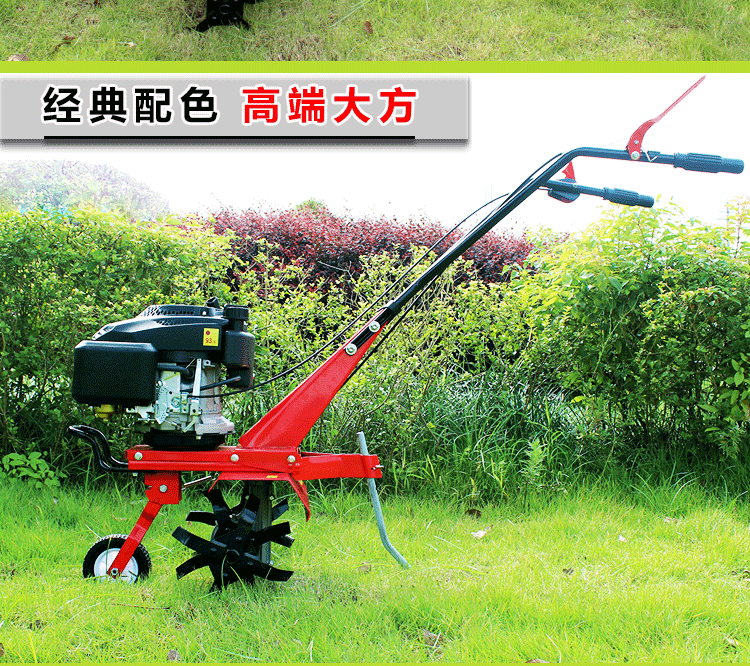 QQ图片20191005154602.gif