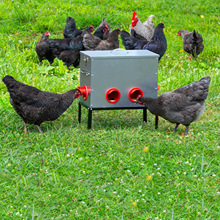 跨境镀锌鸡喂食器大容量手提鸡料槽无浪费家禽饲料喂食器自动下料