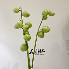 ���滨֦������^������ ����� ���^�� �L��������@�廨��ֻ/��