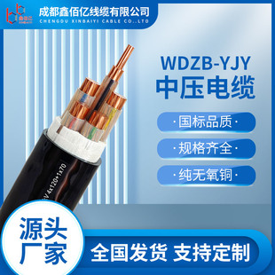 Sichuan Cable Manufacturer Customized Processing Wdzb-Yjy National Standard Flame Retardant and Fire-Resistant Low Smoke Halogen-Free Oxygen-Free Copper Core Cable