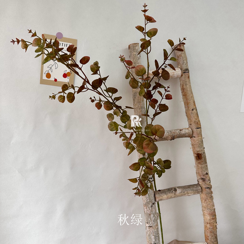 가을 녹색 단색 10 시작 샷 덜 머리가 아닌 샷