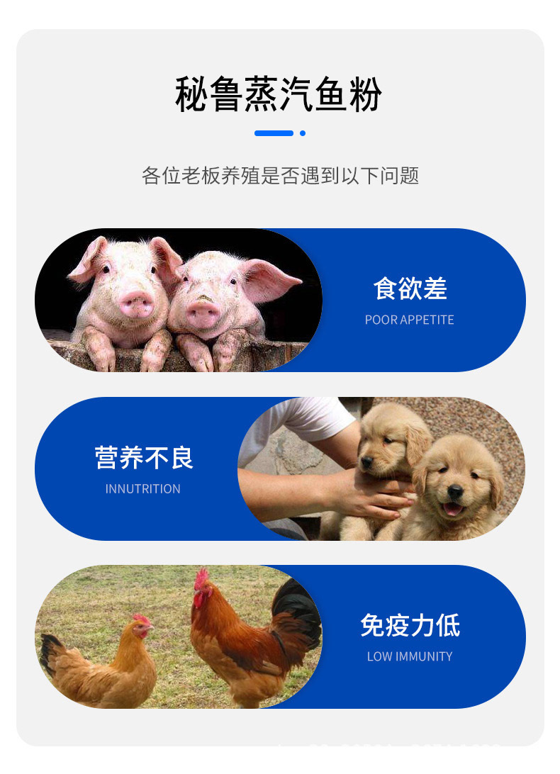 O1CN01p2KEK01KRmYL2iP70_!!2212