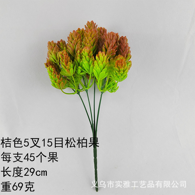 Pinus quintilus (naranja)