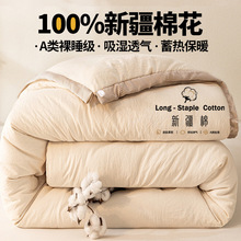 100%新疆棉花被子冬被棉被全棉纯棉夏凉被空调被春秋被芯单人棉絮