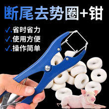 ����i�Д�βȦ�i��ȥ��Ȧ�F�ßoѪ��β��β������βƤ���Bֳ����