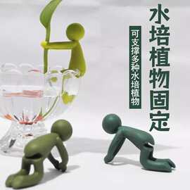 水培植物固定神器生长造型防倒伴侣扶正扶枝办公桌装饰园艺固定器