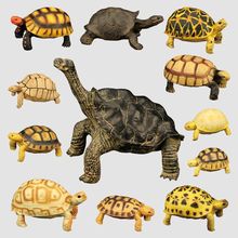 仿真实心静态陆龟模型儿童认知象龟乌龟两栖动物摆件手办工厂直销