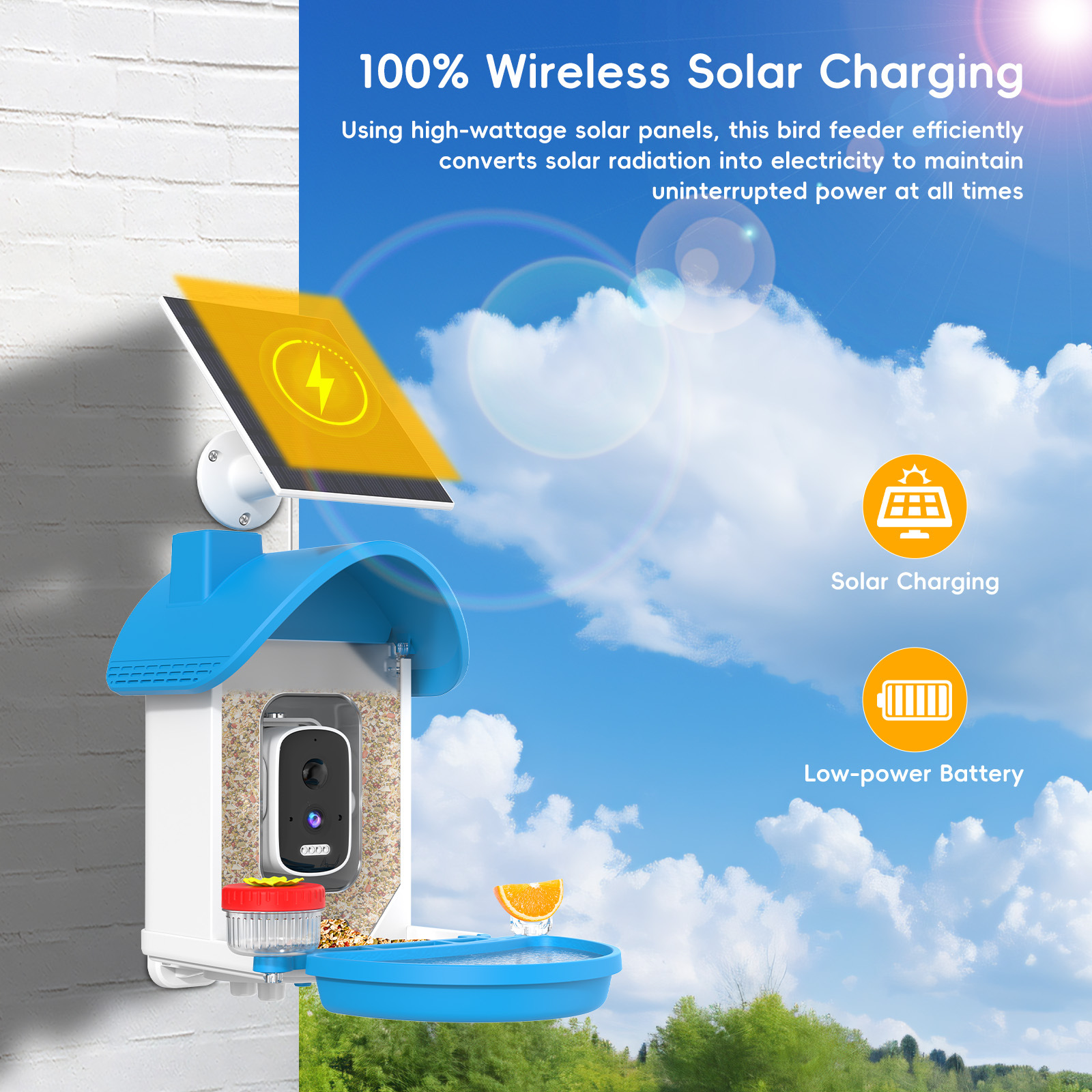 Fábrica de origen AI inteligente de alimentación de aves de la cámara identifica más de 10,000 especies de aves HD alimentador de mascotas explosión transfronteriza