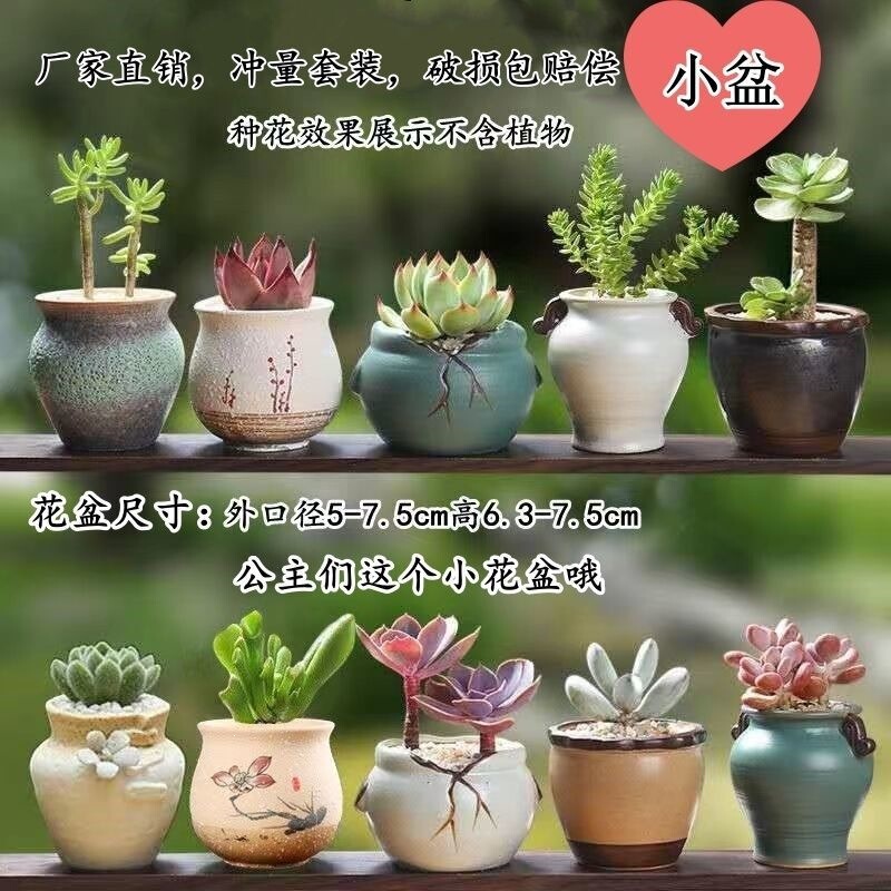 Succulent flower pot, ceramic, rustic style, retro, minimalist, for indoor use, desktop, home decor, creative small flower pot for succulents