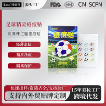 �����`�����N2026���籭���}��N�p��͸����ϊyˮ�z�w�����N