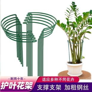 Plant Climbing Frame, Plant Flower Stand, Semi-Circular Flower Stand, Leaf Protection Frame, Wrought Iron Crab Claw Orchid Monstera Support Frame, Fixed and Thickened