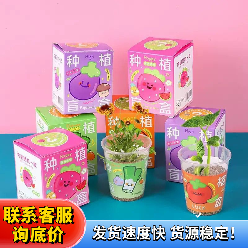 子供の鉢植えの植物の盲目の箱の新型の幼稚園の緑の種のテーブルの置物の学生の賞品の贈り物の小さい盆栽|undefined