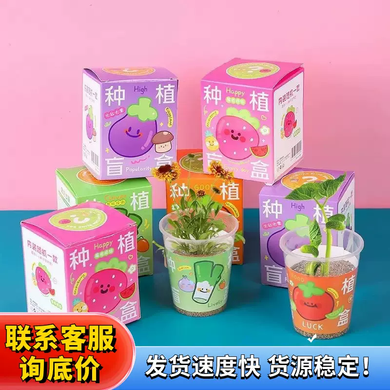 儿童盆栽植物盲盒新款幼儿园绿植种子桌面摆件学生奖品礼物小盆栽