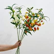 仿真花  宫灯百合  果实类 家居花艺装饰 假花 摄影道具 空间陈设