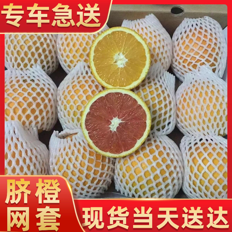 水果网套生产厂家定做批发苹果脐橙草莓专用泡沫保护套袋