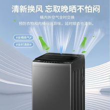 海尔洗衣机波轮10公斤大神童波轮洗衣机全自动租房家用大容量