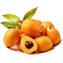 四川枇杷当季水果琵琶顺丰包邮新鲜水果产地直发米易枇杷一件代发