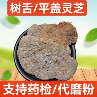 ��ș�� ƽ�w�`֥ �����`֥ ��ᘌӿ׾� �ɘ��`֥�ɰ׸�������