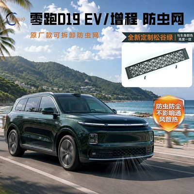 Suitable for Leapmotor D19, brand new Songgu Green Starry Sky insect-proof net, dust-proof water tank protection, integrated snap-on grille