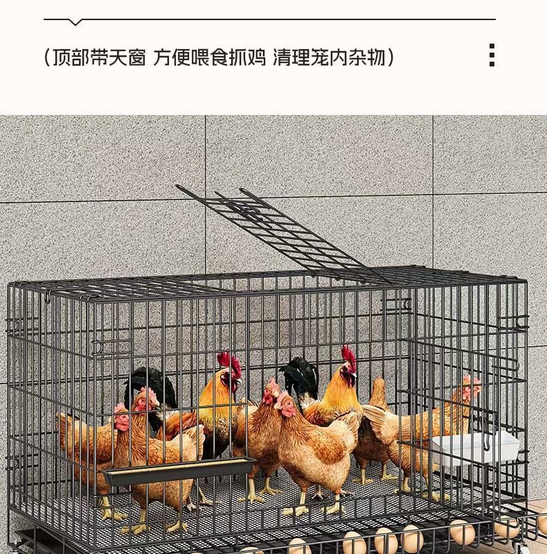 6fab641e-b798-4d41-a22b-3d3634499dc9.jpe