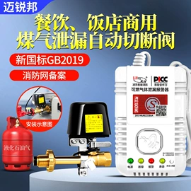 气体检测仪;报警探测器;其他气体分析