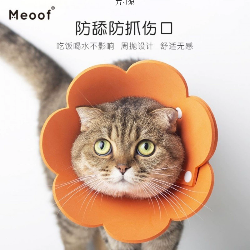 Элизабет кошачий круг с мягкой боркой собачий ошейник