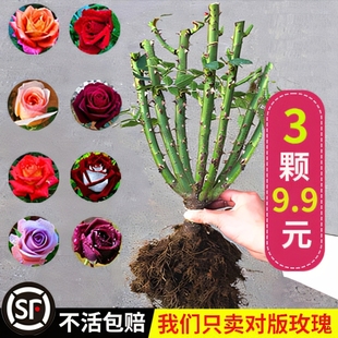 õ�廨���玧�����ش󻨻ܾGֲ�������҃��̨�¼��Nޱ�ļ��_��