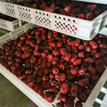 �󗗺�əC �՚��ܼt����ɷ� �җ���ʽ�����O�� ȫ�Ԅ�늿���