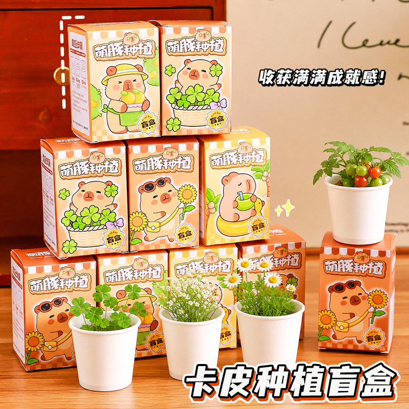 Capibara DIY Planting Blind Box Mini Paper Cup Small Potted Plant Set Children's Blind Box Desktop Observation Small Green Plant