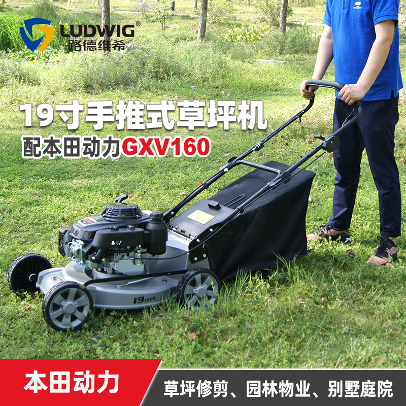 本田GXV160动力19寸草坪机手推式割草机打草机汽油四冲程剪草机