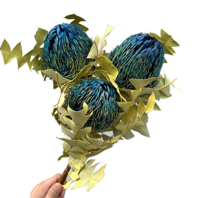 微信图片_20210321203315