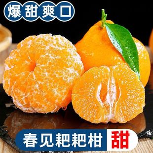 �Ĵ���Ҋ�ҰҸ����θ̴������rˮ�������F�ɑ���������ӱ�Ƥ���l